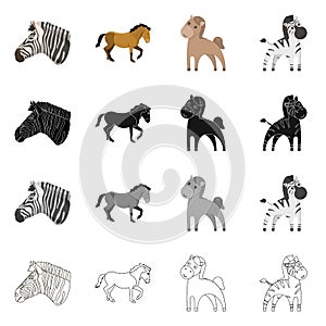 Vector illustration of trot and running logo. Set of trot and clipart vector icon for stock.