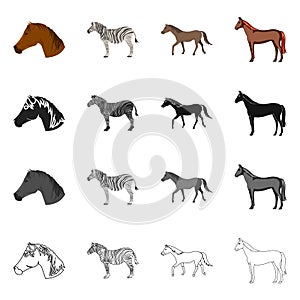 Vector illustration of trot and running logo. Set of trot and clipart vector icon for stock.