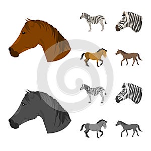 Vector illustration of trot and running sign. Collection of trot and clipart stock vector illustration.