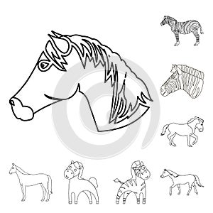 Vector illustration of trot and running sign. Collection of trot and clipart vector icon for stock.