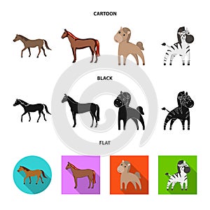 Vector illustration of trot and running sign. Set of trot and clipart stock symbol for web.