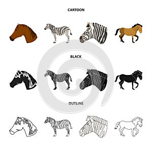 Vector illustration of trot and running symbol. Collection of trot and clipart vector icon for stock.