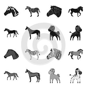 Vector illustration of trot and running symbol. Collection of trot and clipart vector icon for stock.