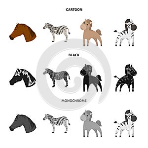 Vector illustration of trot and running symbol. Collection of trot and clipart vector icon for stock.