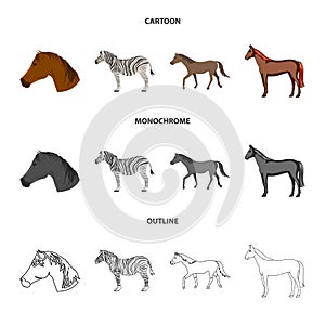 Vector illustration of trot and running symbol. Set of trot and clipart stock symbol for web.