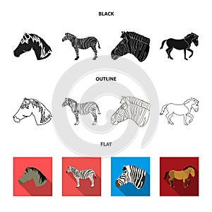 Vector illustration of trot and running symbol. Set of trot and clipart vector icon for stock.