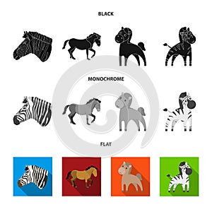 Vector illustration of trot and running symbol. Set of trot and clipart vector icon for stock.