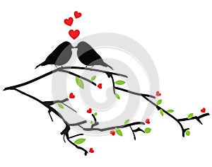 Birds kissing on a branch, vector illustration