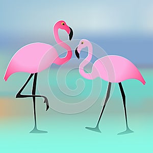 Vector illustration of two flamingos couple pink on the beach multicolor background