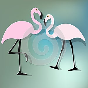 Vector illustration of two flamingos couple pink blue bokeh background