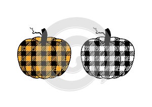 Vector illustration of two pumpkins or cucurbita with buffalo plaid pattern