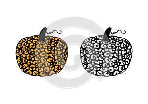 Vector illustration of two pumpkins or cucurbita with leopard print