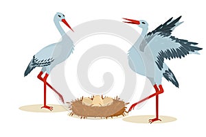 Vector illustration of two storks standing next to a nest with eggs