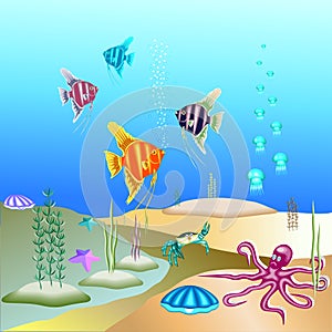 Vector illustration of the underwater world and its inhabitants.
