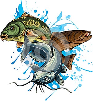 vector illustration of Various freshwater fishes design