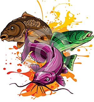 vector illustration of Various freshwater fishes design