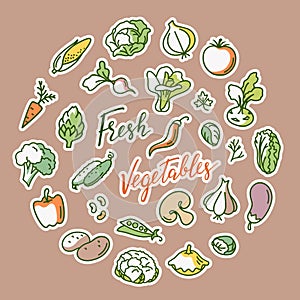 Vector illustration of vegetable with a place for text.