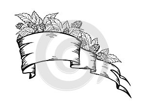 vector illustration of vintage old banner ribbon for text with hop plant, leaf, bud, cone, hand drawn sketch of