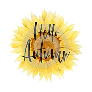 Vector illustration with watercolor sunflower and hand drawn lettering Hello Autumn Isolated on white background. Design for card