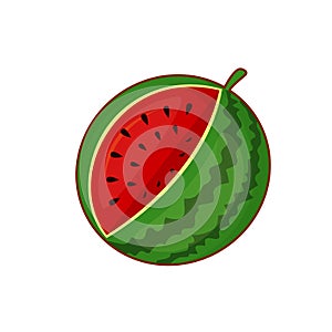 Vector illustration of watermelon