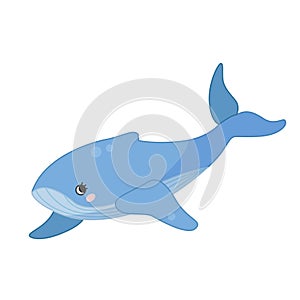 Vector illustration of whale