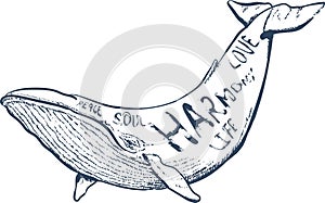 Vector illustration with whale, nautical hand drawn lettering,