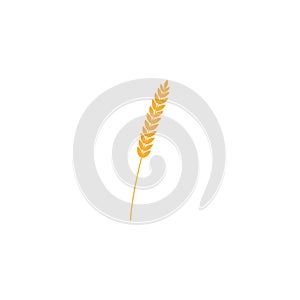 Vector illustration of wheat, rye or barley ear with whole grain, yellow wheat, rye or barley crop harvest symbol or icon isolated