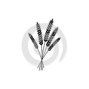 Vector illustration of wheat, rye or barley black silhouette of wheat, rye or barley cicon isolated on white background.