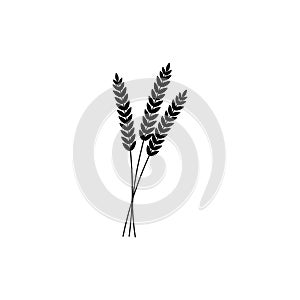 Vector illustration of wheat, rye or barley ears whole grain, black silhouette symbol icon isolated on white background.