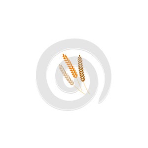 Vector illustration of wheat, rye or barley ears whole grain, black silhouette symbol icon isolated on white background