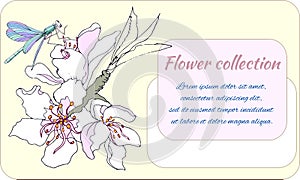 Vector illustration of a white flower with a dragonfly. Spring card, banner. Soft background for text greetings and invitations