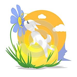 Vector illustration of a white rabbit and three eggs for Easter