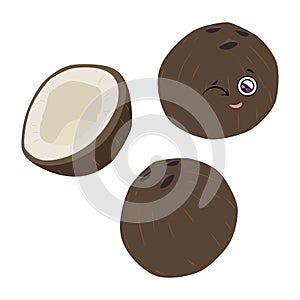 Vector illustration of whole and half coconut on a white background in a flat style.