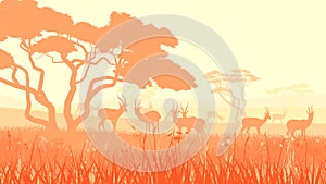 Vector illustration of wild animals in African savanna.