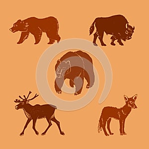 Vector illustration of wild animals.Hand drawn mammal silhouettes.