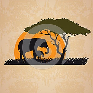 Vector illustration of wild elephants family in African sunset savanna with trees.