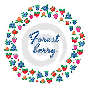 Vector illustration. wild forest berries. cranberry, raspberry,