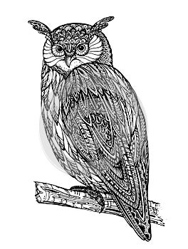 Vector illustration of wild totem animal - Owl