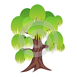 Vector illustration of a willow tree with green gradient foliage