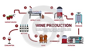 Vector illustration of wine making. How wine is made, wine elements, creating a wine, winemaker tool set and vineyard