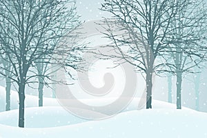 Vector illustration of winter forest with snow and mist, suitable as Christmas card