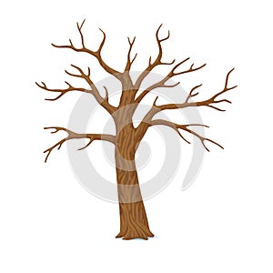 Vector illustration. Winter, late autumn icon. Single bare, leafless tree with empty branches isolated on a white background.