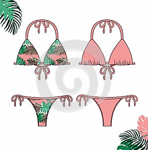 Vector illustration of women`s bikini