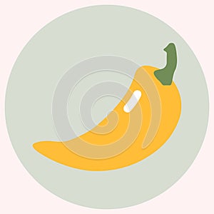 Vector illustration Yellow bell pepper icon