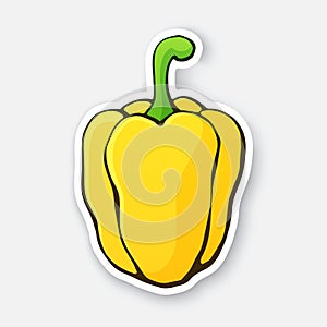 Vector illustration. Yellow bell pepper or paprika with a stem. Healthy vegetarian food. Ingredient for salad