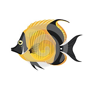 Vector illustration yellow black fish, resembling Moorish Idol. Graphic design isolated white photo
