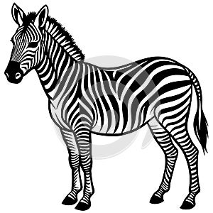 Vector Illustration Zebra And Unique Design