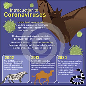 Vector illustration of zoonotic transmission of covid-19 virus