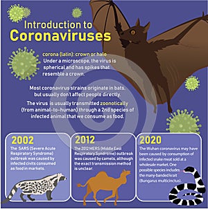 Vector illustration of zoonotic transmission of covid-19 virus photo