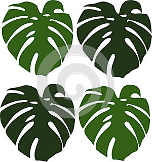 Vector illustrationn. green plants on white background